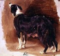 Sketch of a Collie - Sir Edwin Henry Landseer