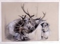 Stags Heads and Dog - Sir Edwin Henry Landseer