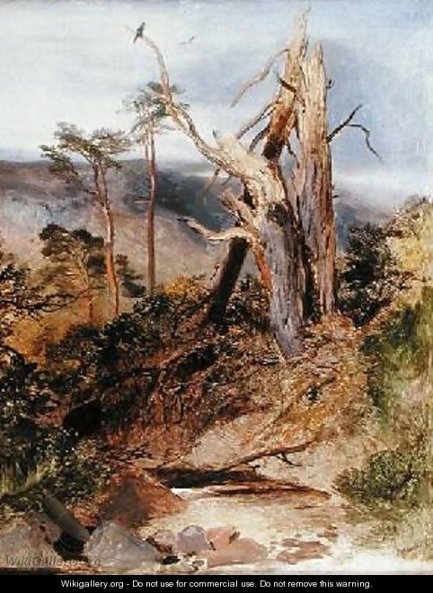 Highland Landscape with Split Scotch Pine - Sir Edwin Henry Landseer