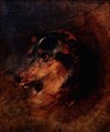 A Head Study of a Collie Dog - Sir Edwin Henry Landseer