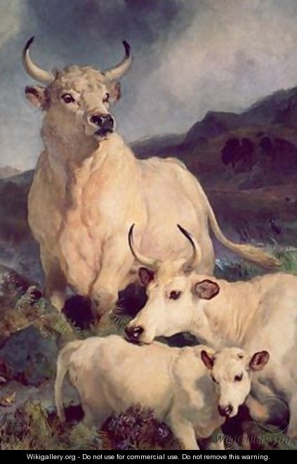 Wild cattle at Chillingham - Sir Edwin Henry Landseer