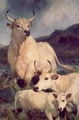 Wild cattle at Chillingham - Sir Edwin Henry Landseer
