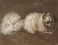 A Pomeranian Dog - Sir Edwin Henry Landseer