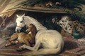 The Arab Tent - Sir Edwin Henry Landseer