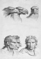 Similarities Between the Head of an Eagle and a Man - (after) Le Brun, Charles
