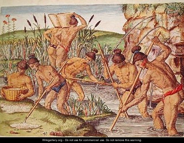 How the Indians Collect Gold from the Streams - (after) Le Moyne, Jacques (de Morgues)