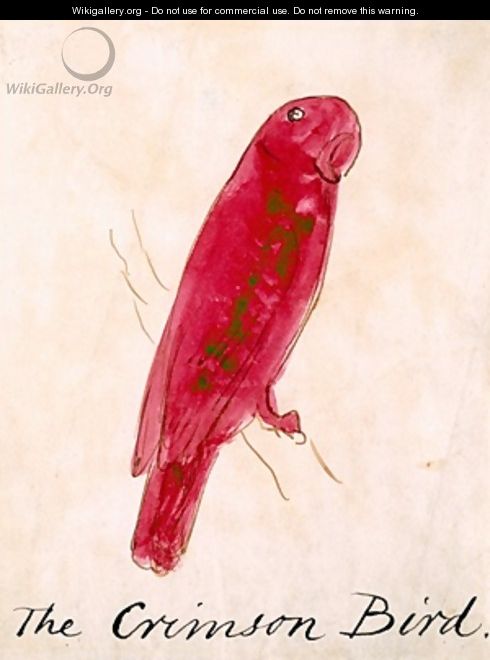 The Crimson Bird - Edward Lear