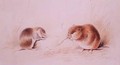 Dormice - Edward Lear