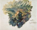 A Study of Ferns Citivella - Edward Lear
