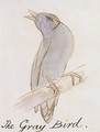 The Gray Bird - Edward Lear