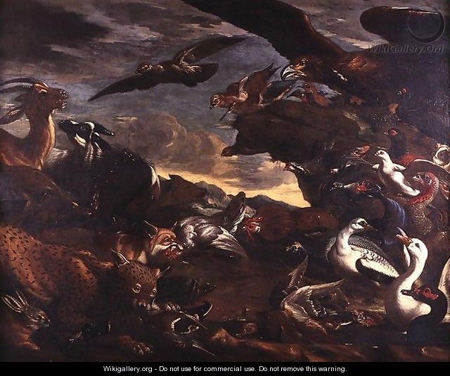 The Battle of the Birds and the Beasts - Jacob van der (Giacomo da Castello) Kerckhoven