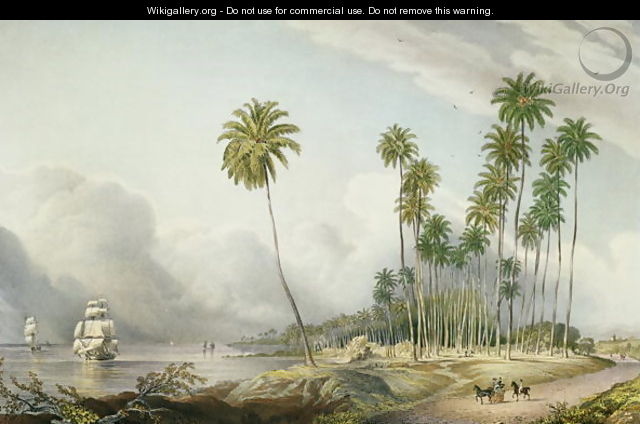 Cocoa Nut Walk on the Coast Near Runaway Bay - Joseph Bartholomew Kidd