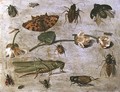 Insects 3 - Jan van Kessel