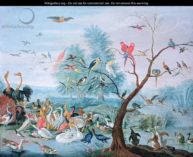 Tropical birds in a landscape - Jan van Kessel