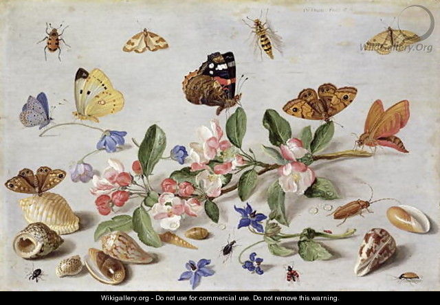 Insects 2 - Jan van Kessel