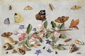 Insects 2 - Jan van Kessel