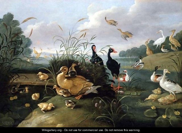 Decorative fowl and ducklings - Jan van Kessel