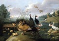 Decorative fowl and ducklings - Jan van Kessel