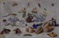 Butterflies and other Insects - Jan van Kessel