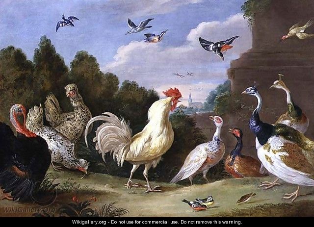Wooded Landscape with a Cock Turkey Hens and other Birds - Jan van Kessel