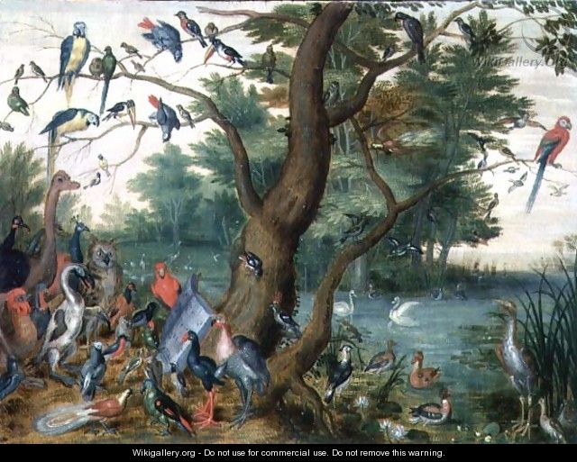 Concert of Birds 3 - Jan van Kessel