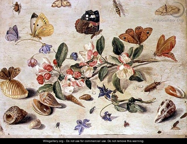 A Study of Flowers and Insects - Jan van Kessel