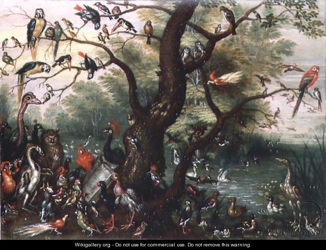 Concert of Birds 2 - Jan van Kessel