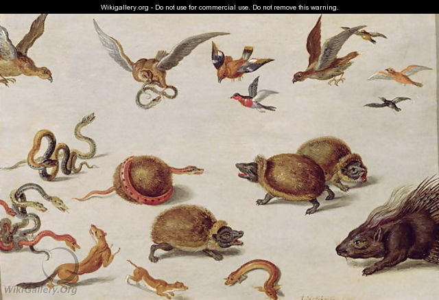 The Enemies of Snakes - Jan van Kessel