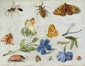 Insects 6 - Jan van Kessel