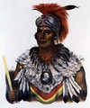 Wapella or the Prince Chief of the Foxes - (after) King, Charles Bird