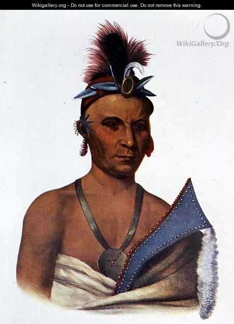 Keesheswa or the Sun a Fox Chief - (after) King, Charles Bird