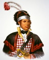 Chief McIntosh - (after) King, Charles Bird