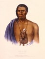 Tish Co Han - (after) King, Charles Bird