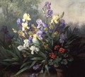 Floral Landscape with Irises - Barbara Koch