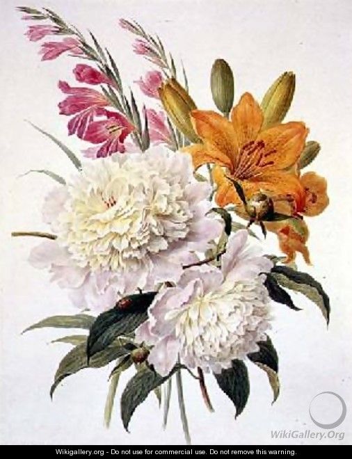 Sprays of Gladioli Peonies and Lilium Bulbiferum - Henriette Gertruide Knip