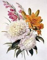 Sprays of Gladioli Peonies and Lilium Bulbiferum - Henriette Gertruide Knip