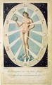 The Female Form with Astrological symbols - (after) Kneller, Sir Godfrey