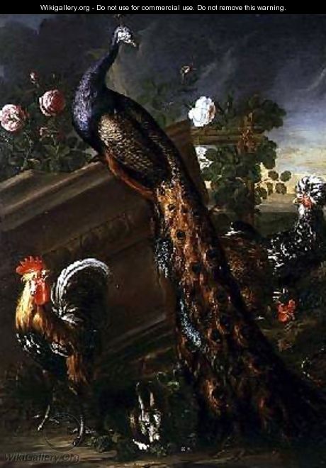 Peacock and Cockerels - David de Koninck