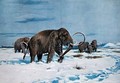 Troop of mammoths in the Ice Age - (after) Kuhnert, Wilhelm