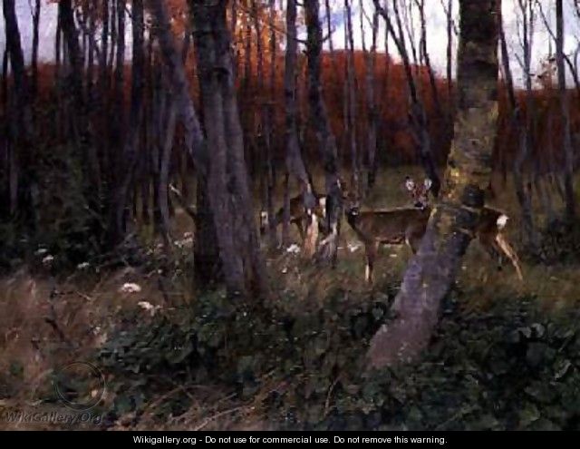 Deer in a Forest - Wilhelm Kuhnert