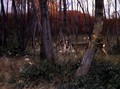Deer in a Forest - Wilhelm Kuhnert