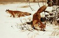 Fox - Wilhelm Kuhnert