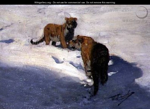 Siberian Tigers in the Snow - Wilhelm Kuhnert