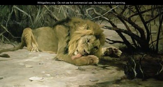 Lion Reclining in a Landscape - Wilhelm Kuhnert