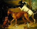 Krugers Dogs - Franz Kruger
