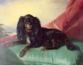 A King Charles Spaniel on a Green Cushion - Ferdinand Krumholz