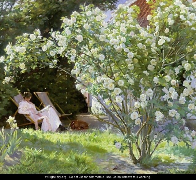 Roses or The Artists Wife in the Garden at Skagen - Peder Severin Kroyer