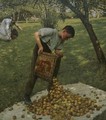 Cider Apples - Henry Herbert La Thangue