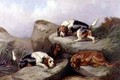 Otterhounds - Colin Graeme