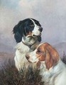 Setters on a Moor - Colin Graeme
